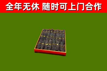 鸡东烟酒回收海参.jpg